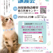 保護猫譲渡会＆ワークショップ