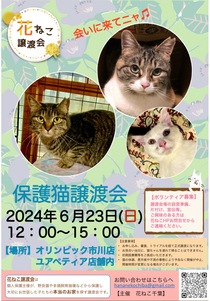 花ねこ譲渡会