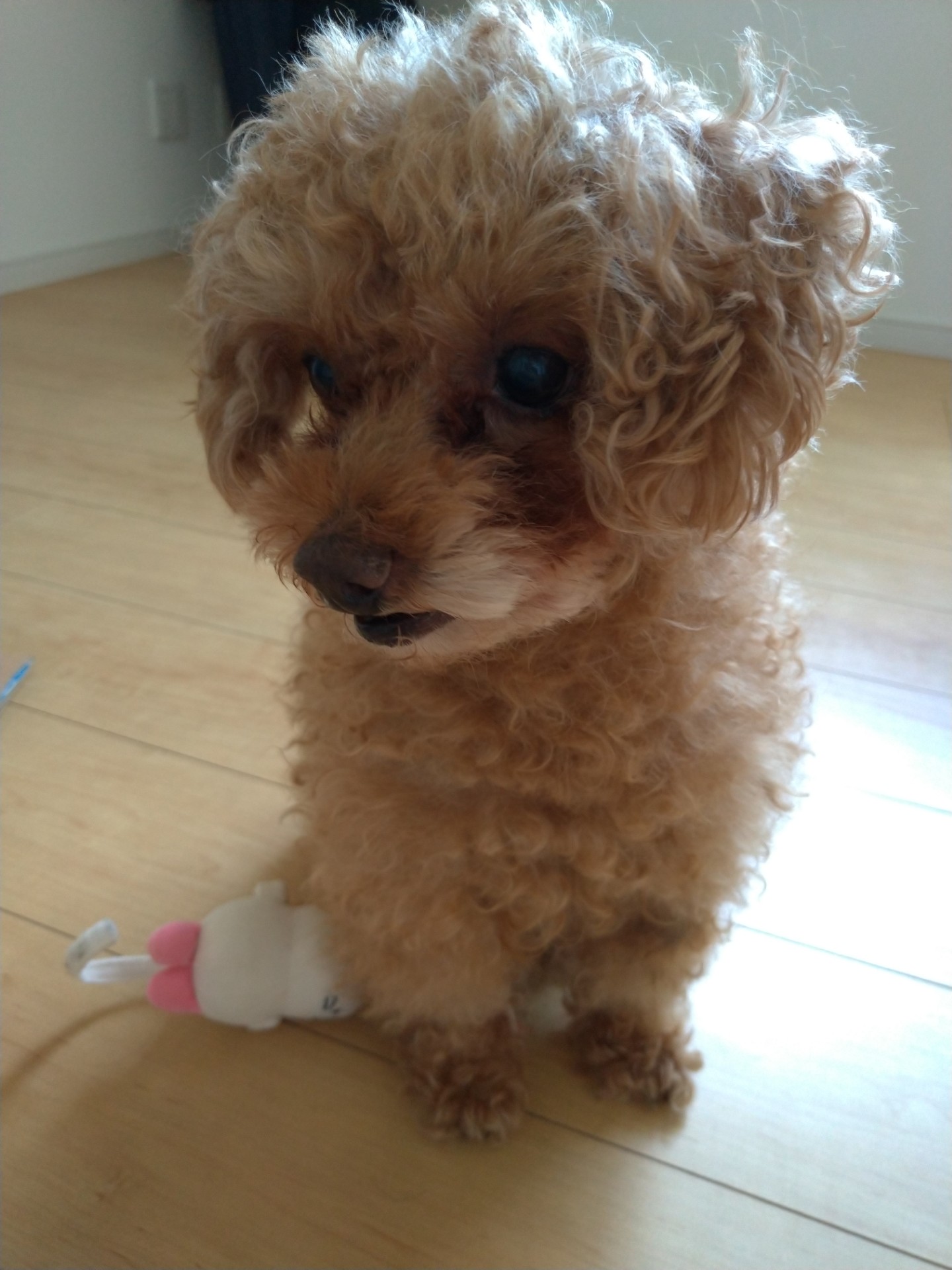 世界一いい子です