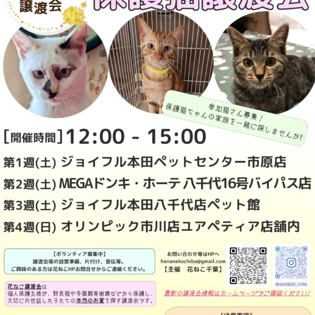 譲渡会運営スタッフ募集