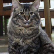 人懐っこい男の子1歳3ヶ月