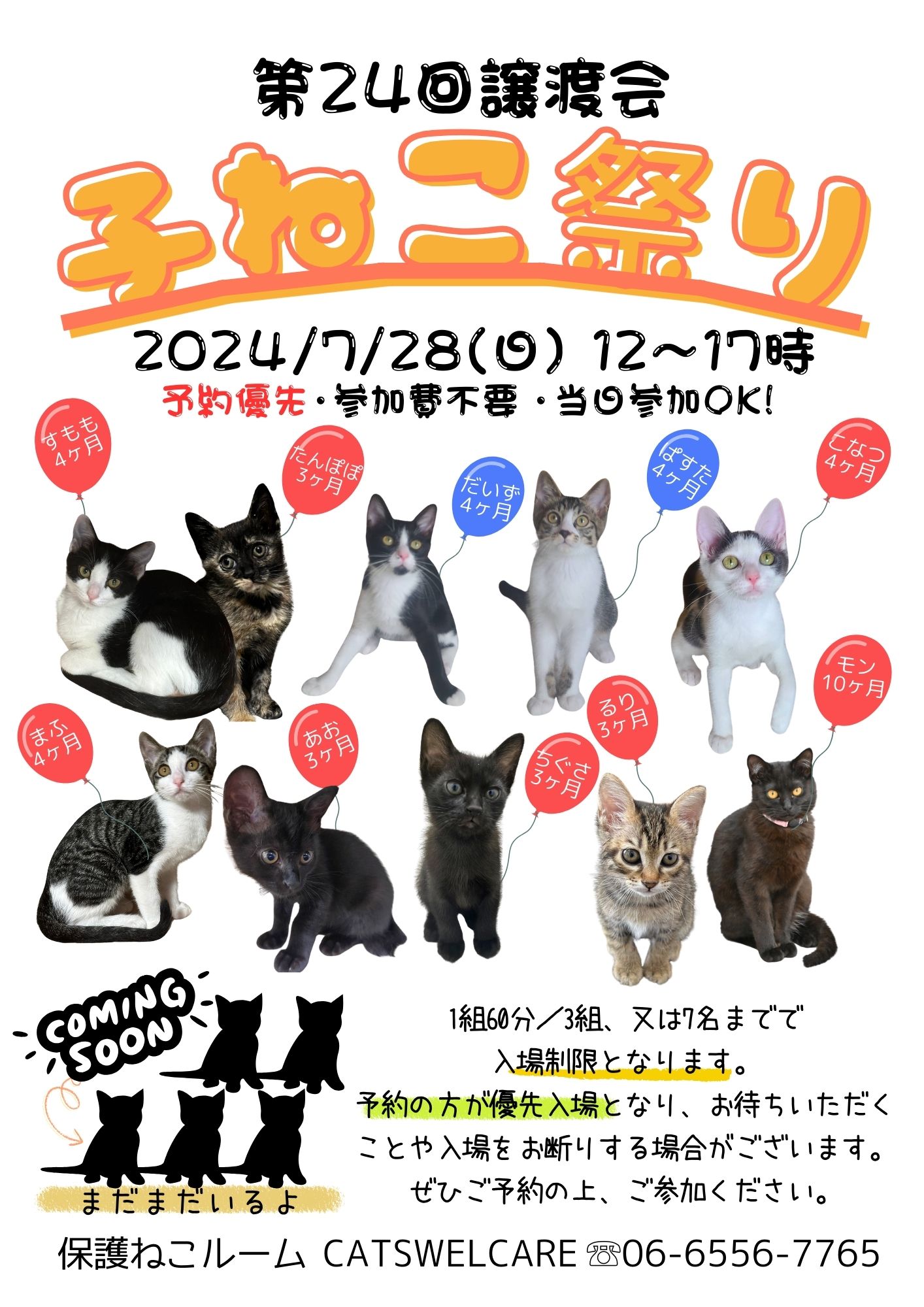 保護ねこ施設 キャッツウェルケア ふれあえる譲渡会