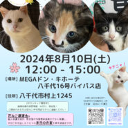 花ねこ譲渡会