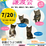 2024.7.20 保護猫譲渡会