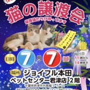 保護猫の譲渡会