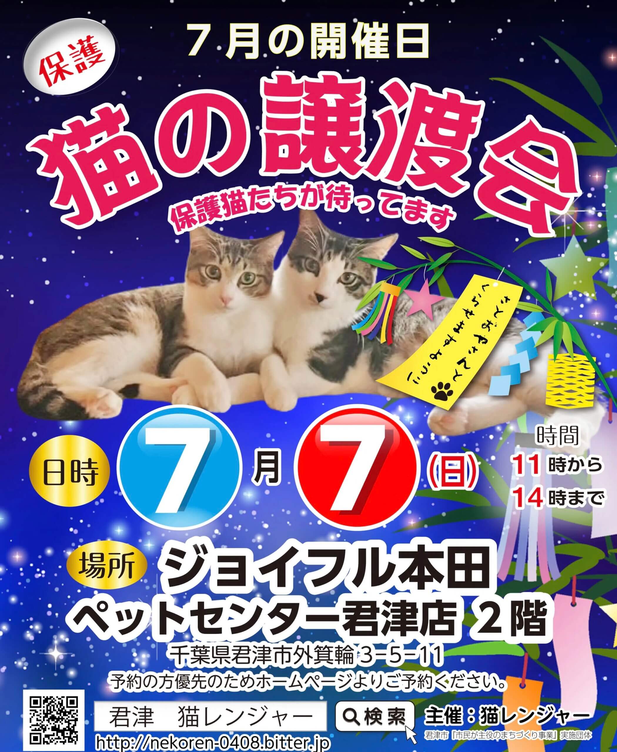 保護猫の譲渡会
