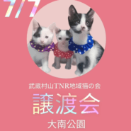 ★保護猫譲渡会in大南公園★
