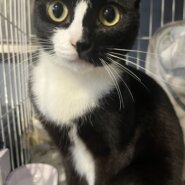 半分マスク！？甘えん坊男の子 みつ