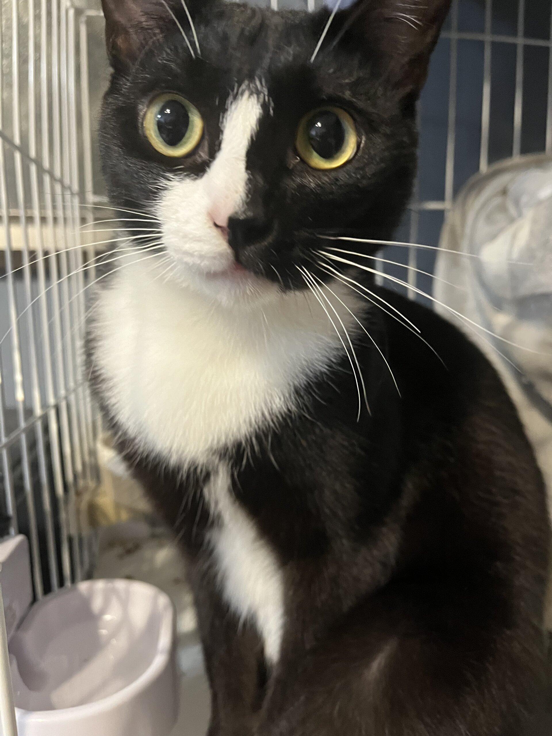 半分マスク！？甘えん坊男の子 みつ