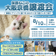 大阪京橋 夜の譲渡会