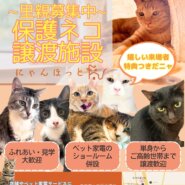 【9月14日開催】特別譲渡会！（嬉しい来場者特典付き♡）