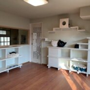 ねりまねこオープンシェルター