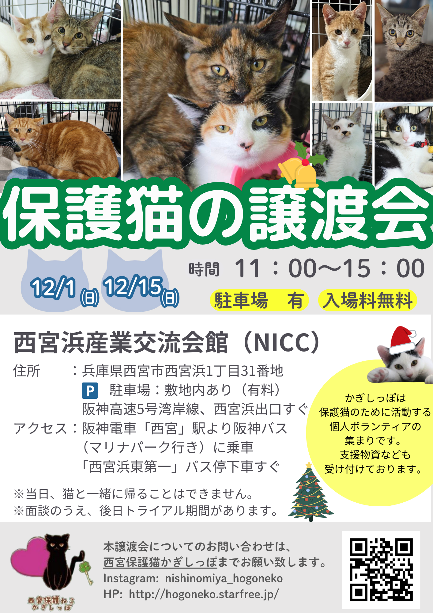 西宮保護ねこ かぎしっぽ主催譲渡会