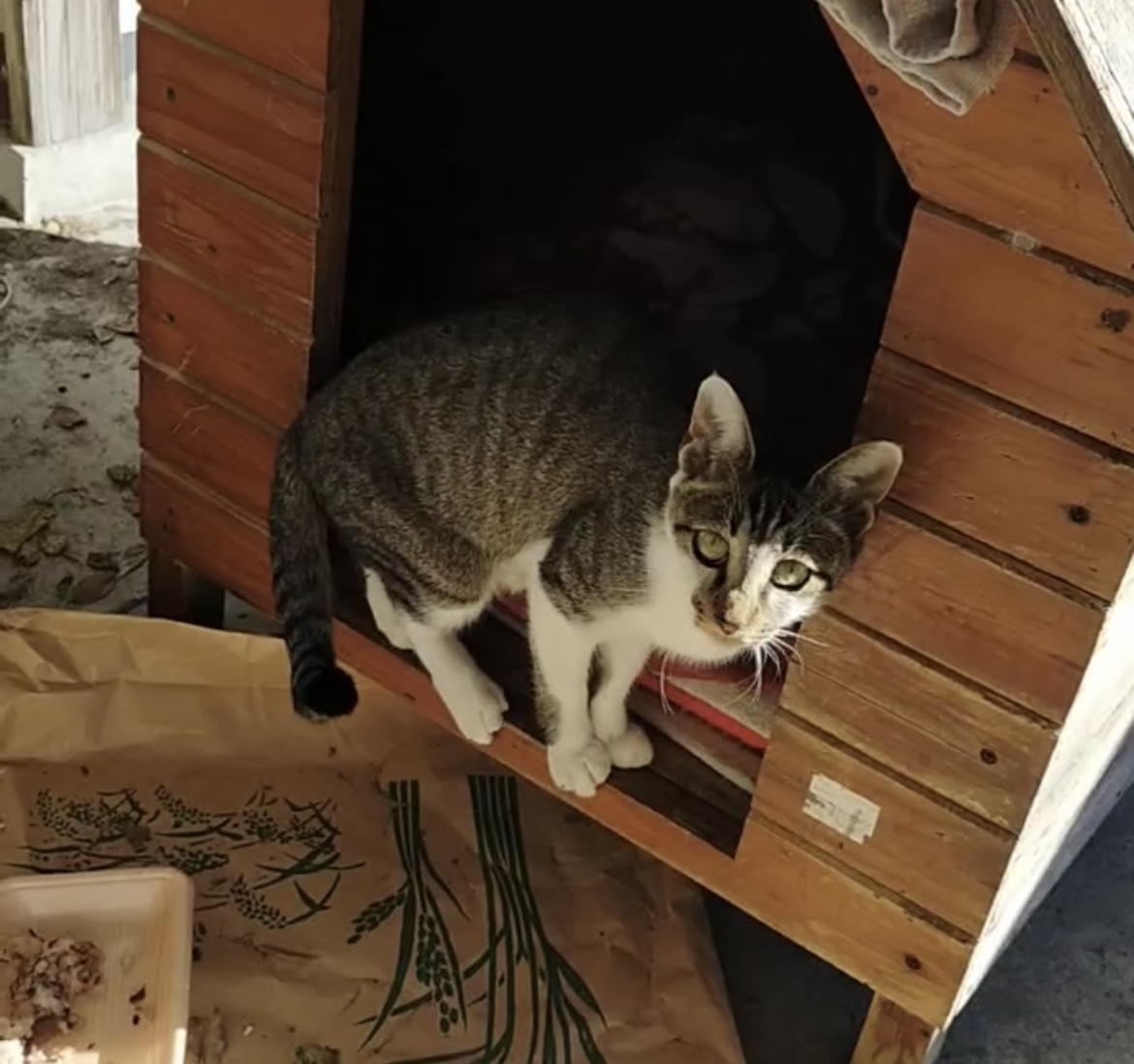 里親様みつかりました！