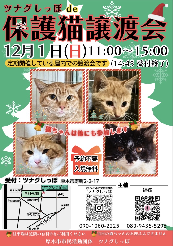 ツナグしっぽde保護猫譲渡会