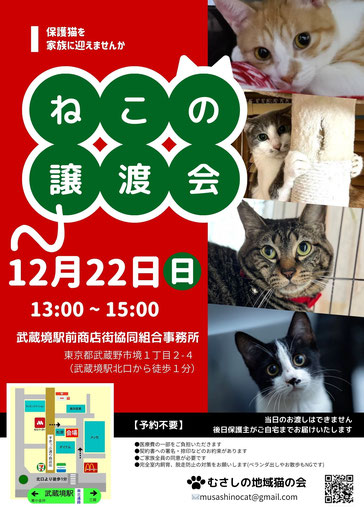 むさしの地域猫の会　譲渡会