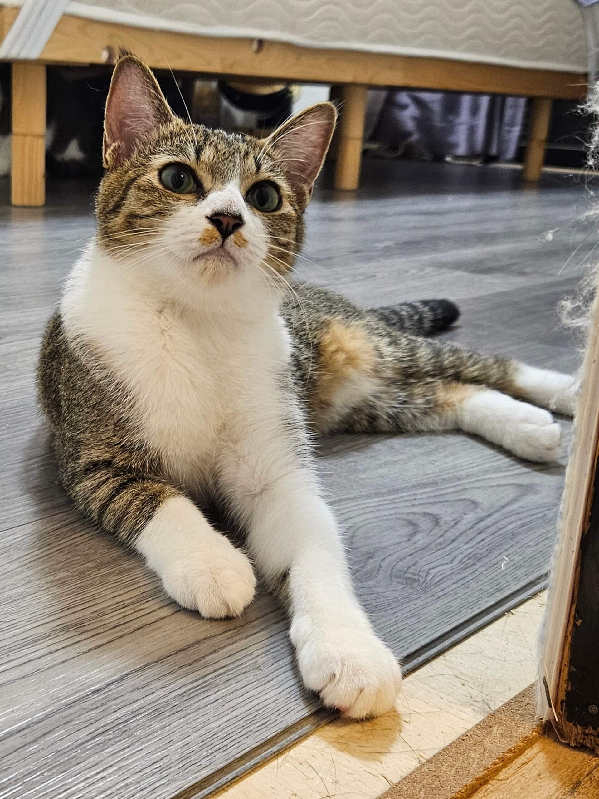 天真爛漫な子！