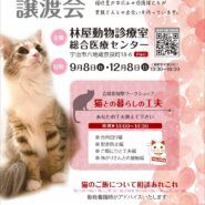 保護猫譲渡会　in 林屋動物診療室総合医療センター