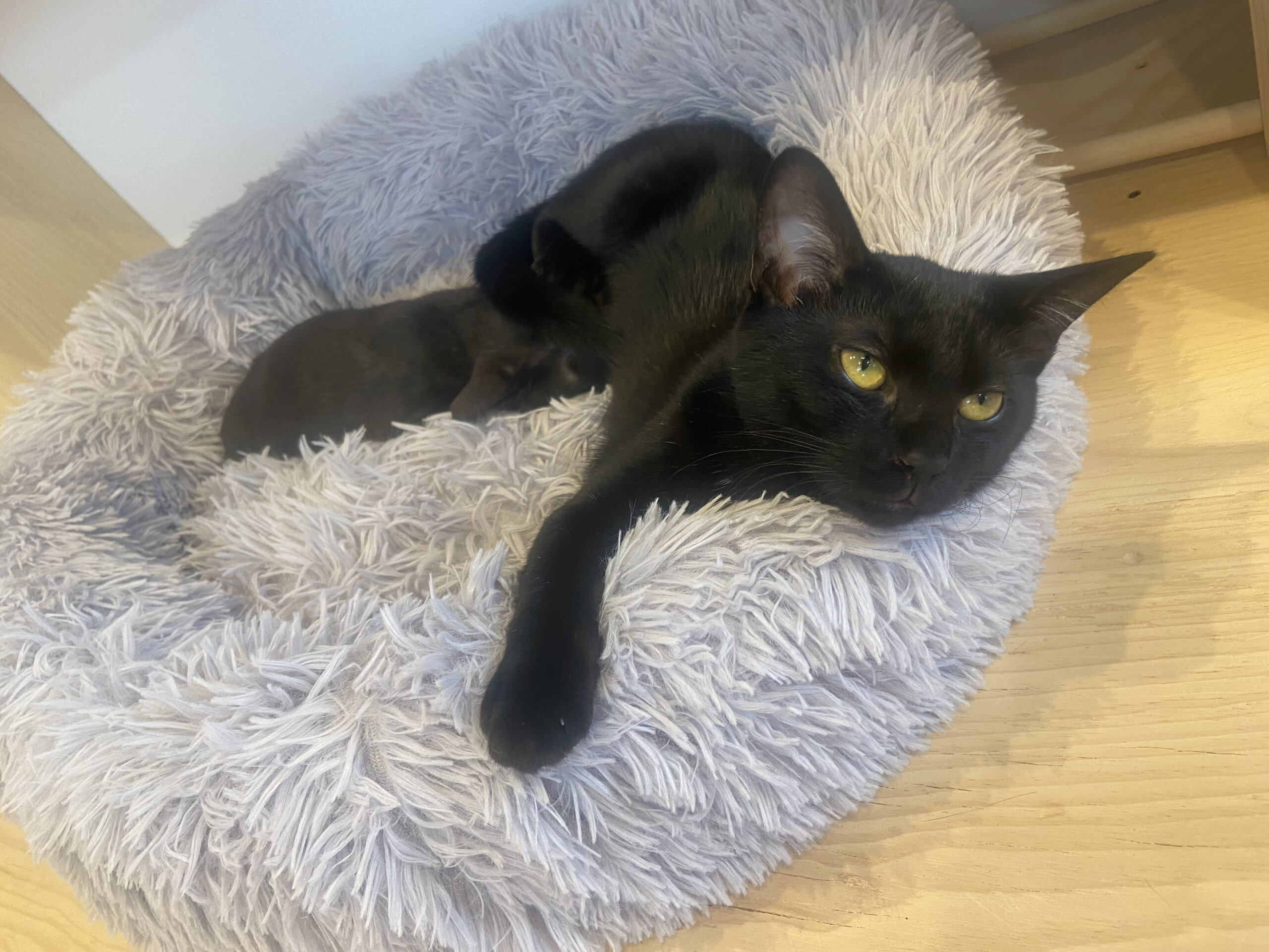 マイペースな女の子！