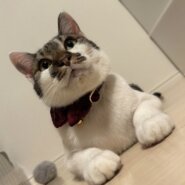 おっしー里親様決定♡!!