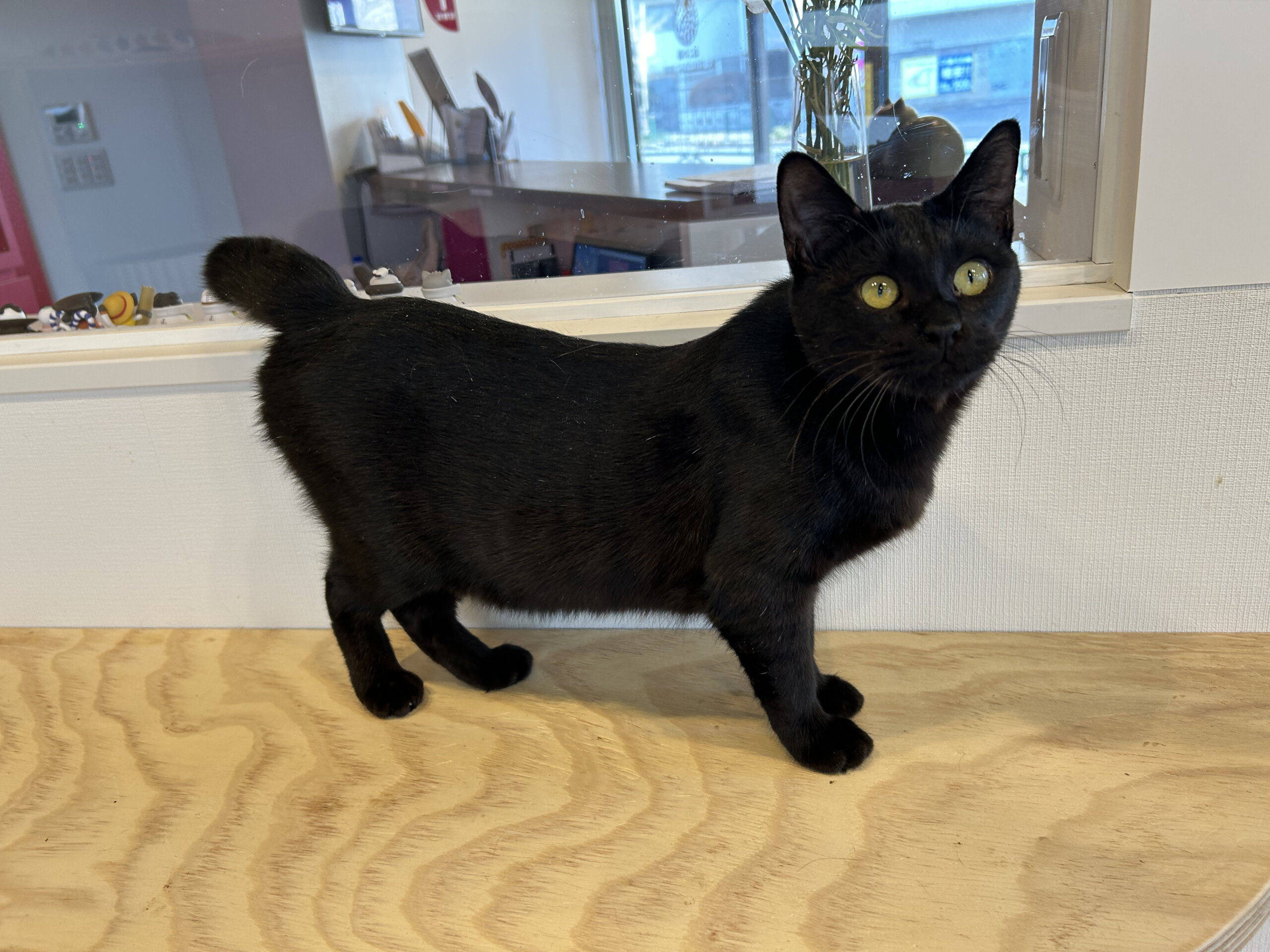 抱っこ大好き女の子！