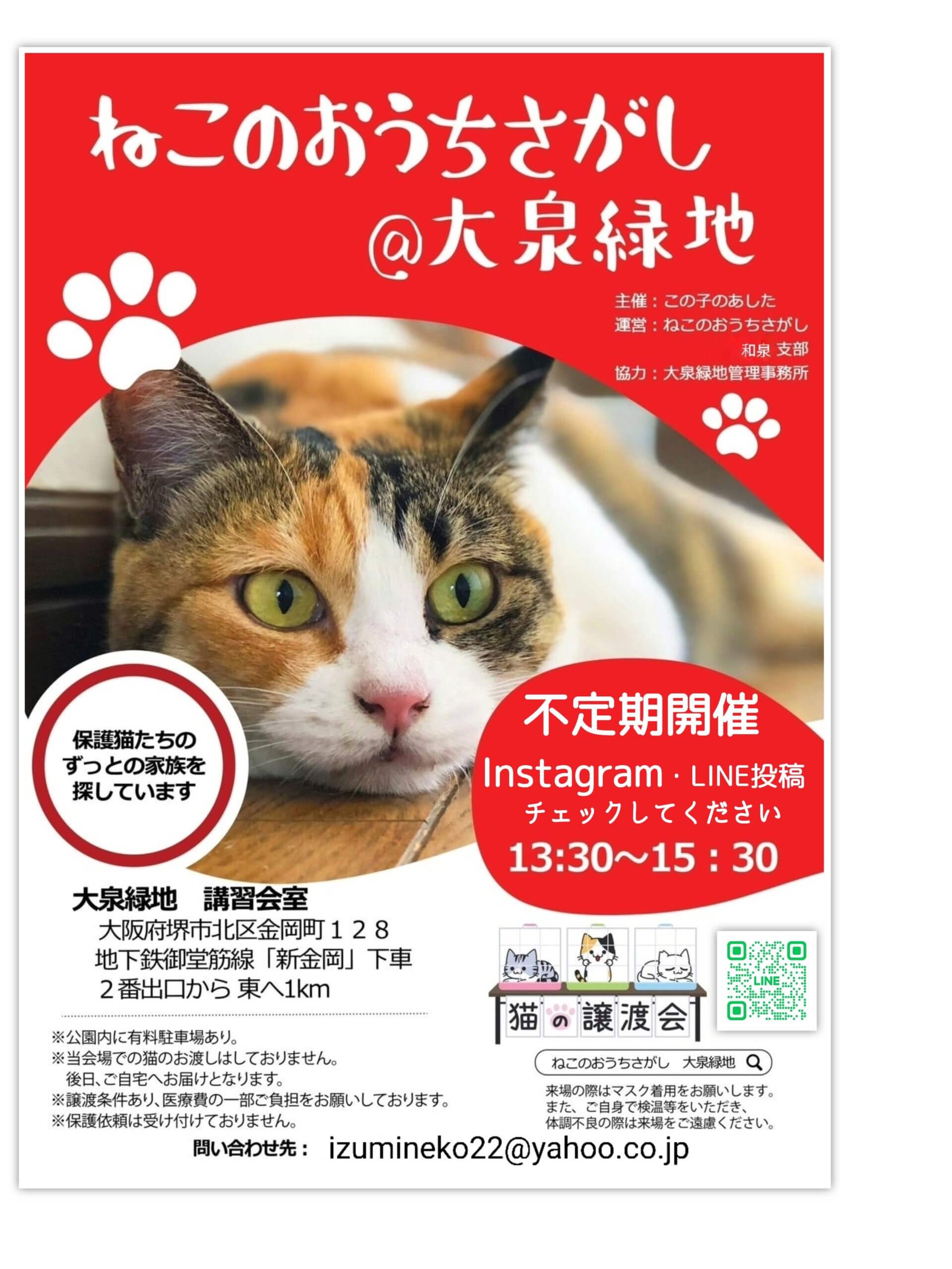 第38回ねこのおうちさがし＠大泉緑地