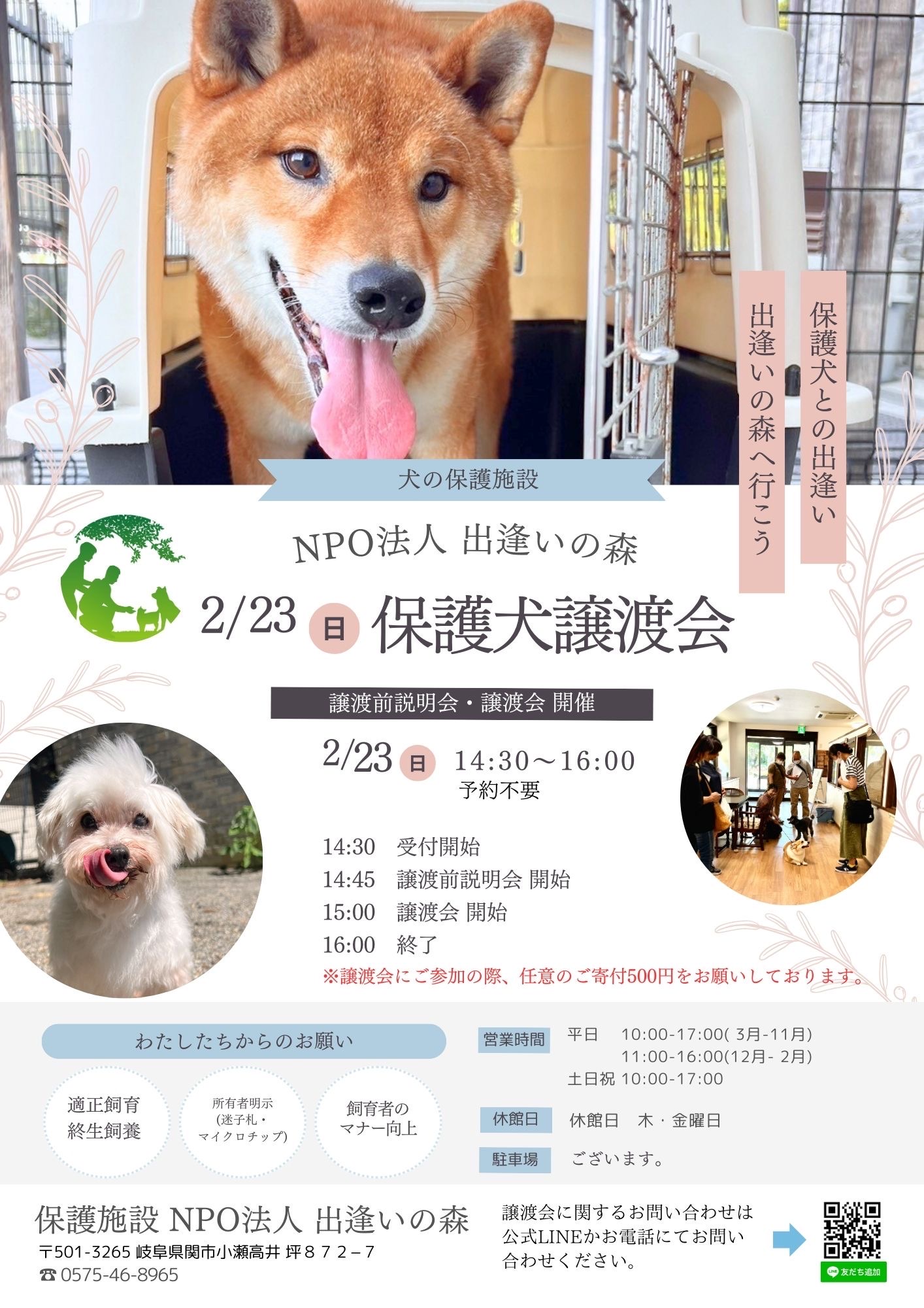 岐阜県関市の保護犬譲渡会🐾