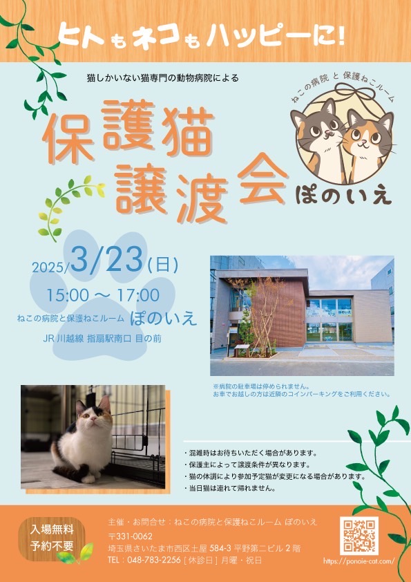【さいたま市西区】3/23(日)猫専門病院「ぽのいえ」保護猫譲渡会