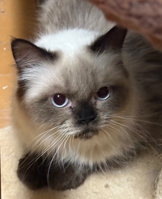 お転婆さんだけど穏やかさんです。