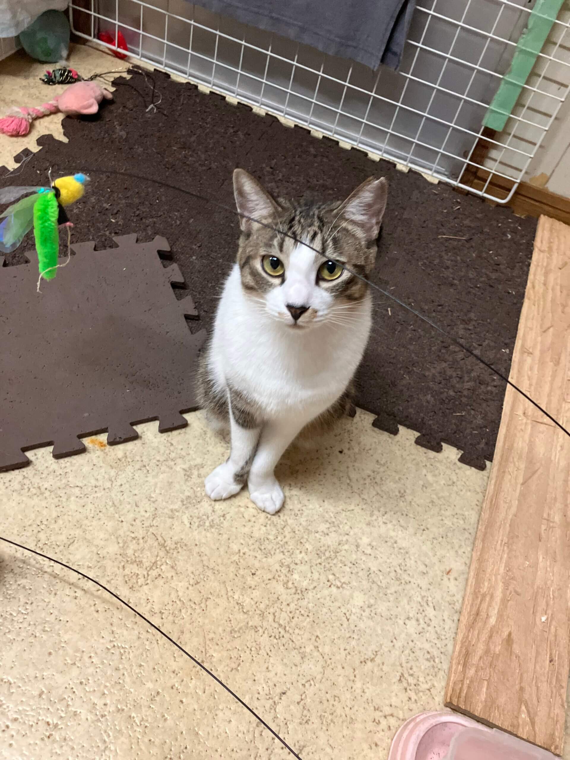 うぶで無垢で無邪気で可愛いすぎなつなぎくんです