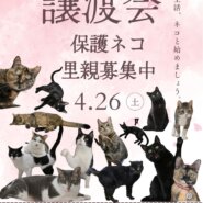 ふれあえる譲渡会 in大阪市