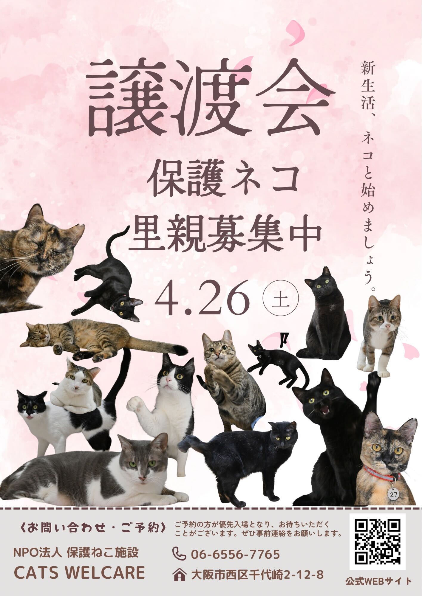 ふれあえる譲渡会 in大阪市