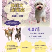 岐阜県関市の保護犬譲渡会🐾