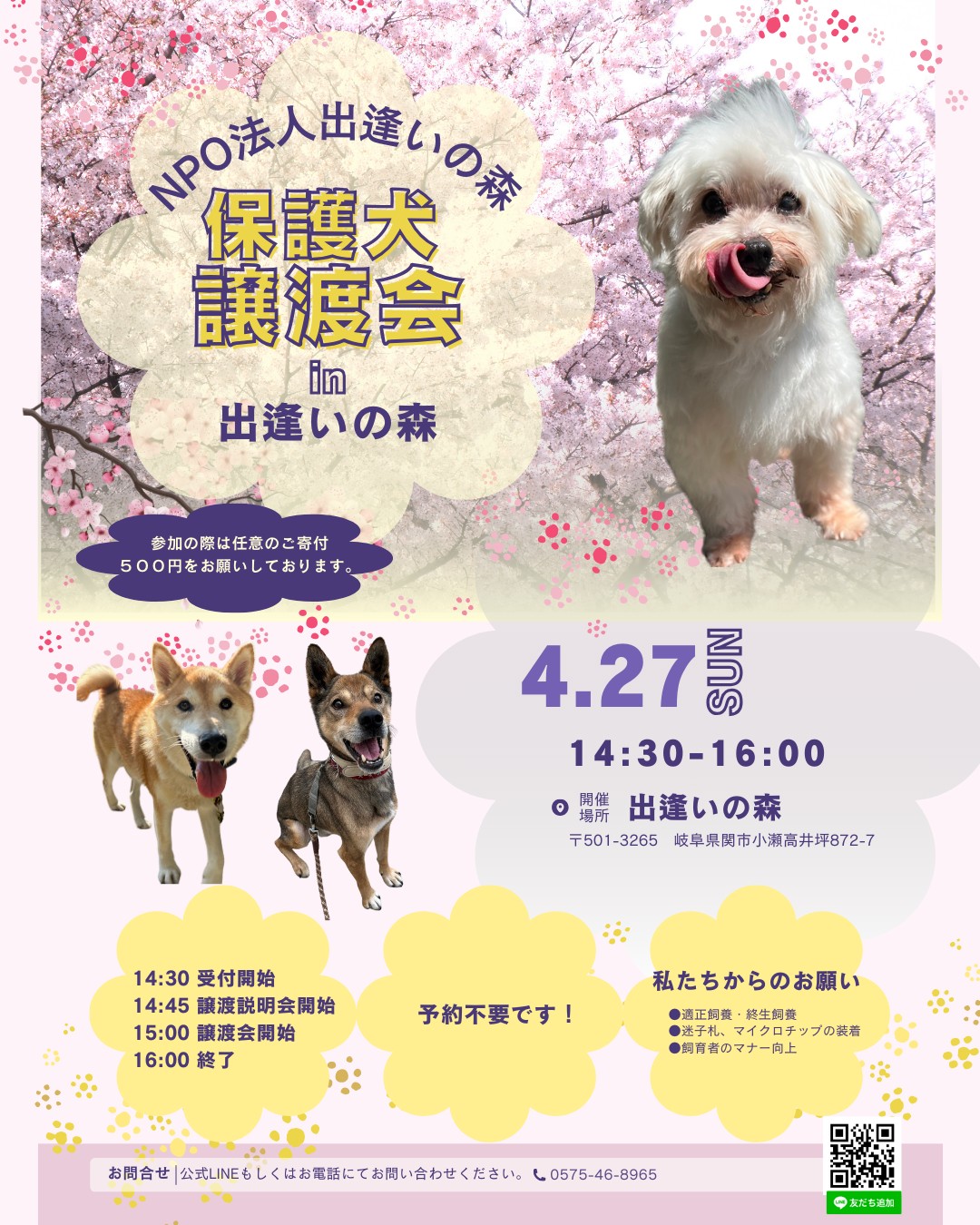 岐阜県関市の保護犬譲渡会🐾