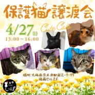 teamしっぽ譲渡会☆大阪府茨木市