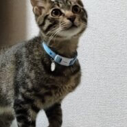 デレデレの甘えん坊です