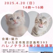 【さいたま市】4/20(日)ハレノテラス保護猫譲渡会