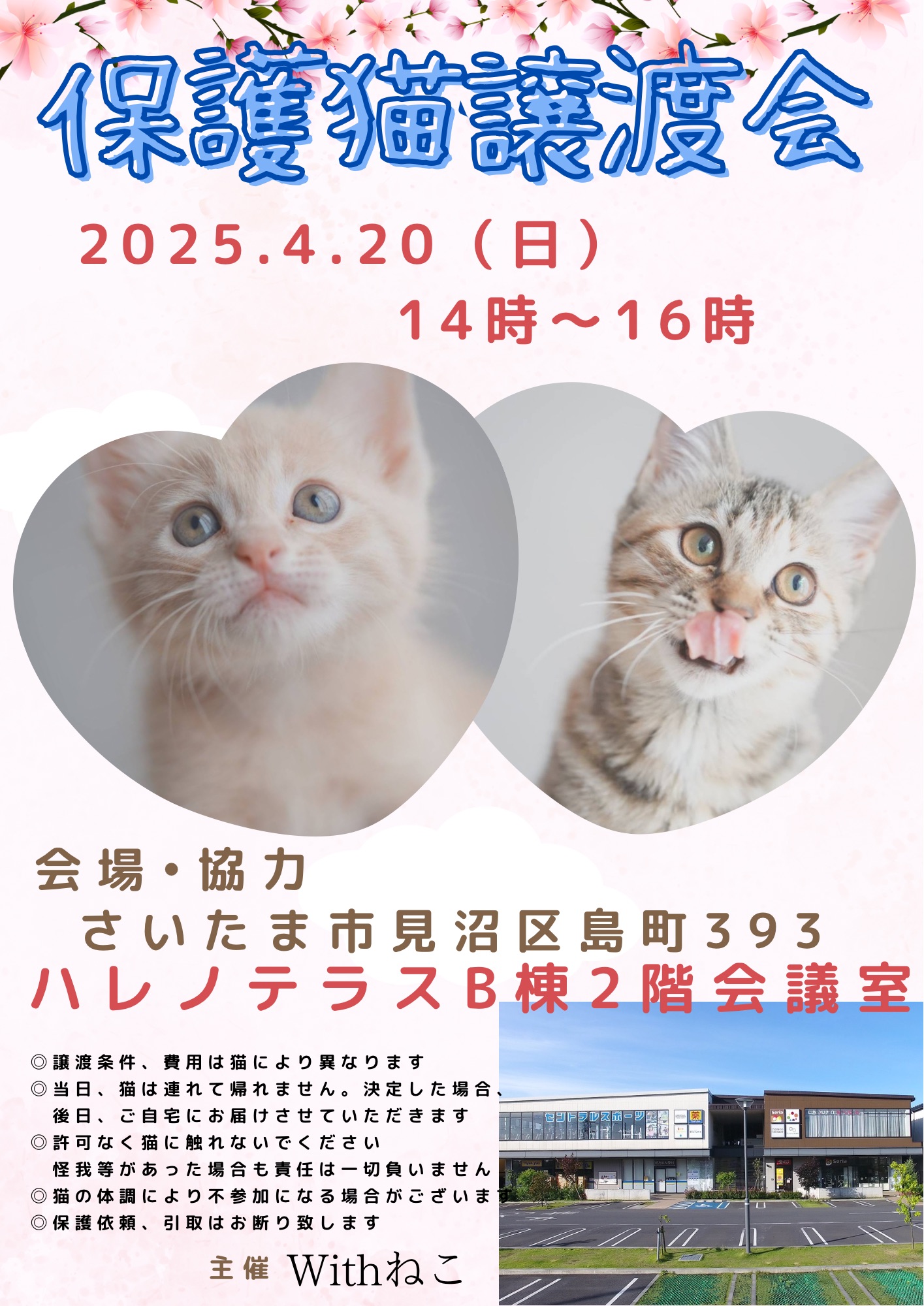 【さいたま市】4/20(日)ハレノテラス保護猫譲渡会