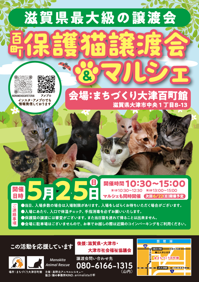 百町保護猫譲渡会＆マルシェ