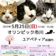 花ねこ譲渡会