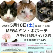 花ねこ譲渡会