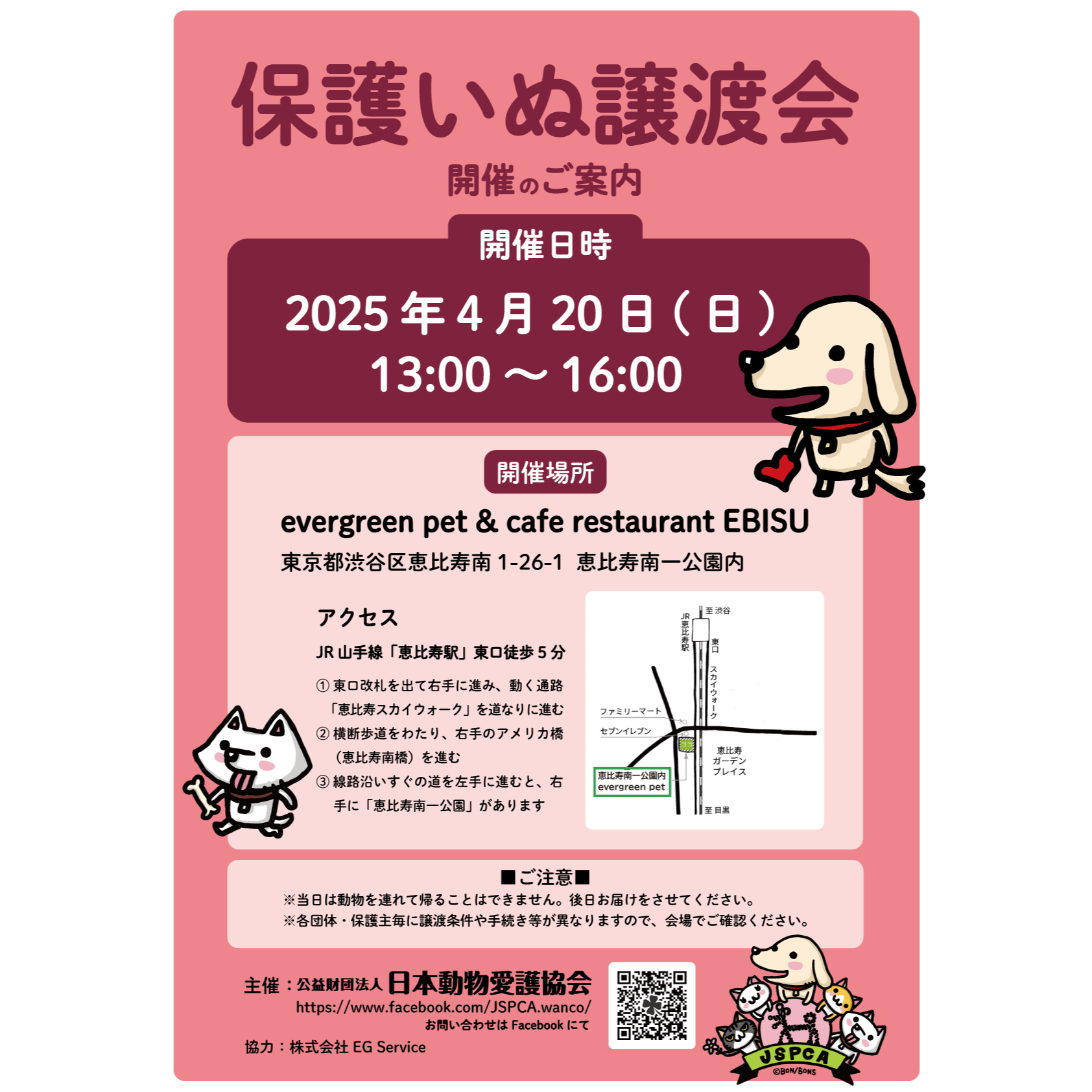 保護いぬ譲渡会＠恵比寿