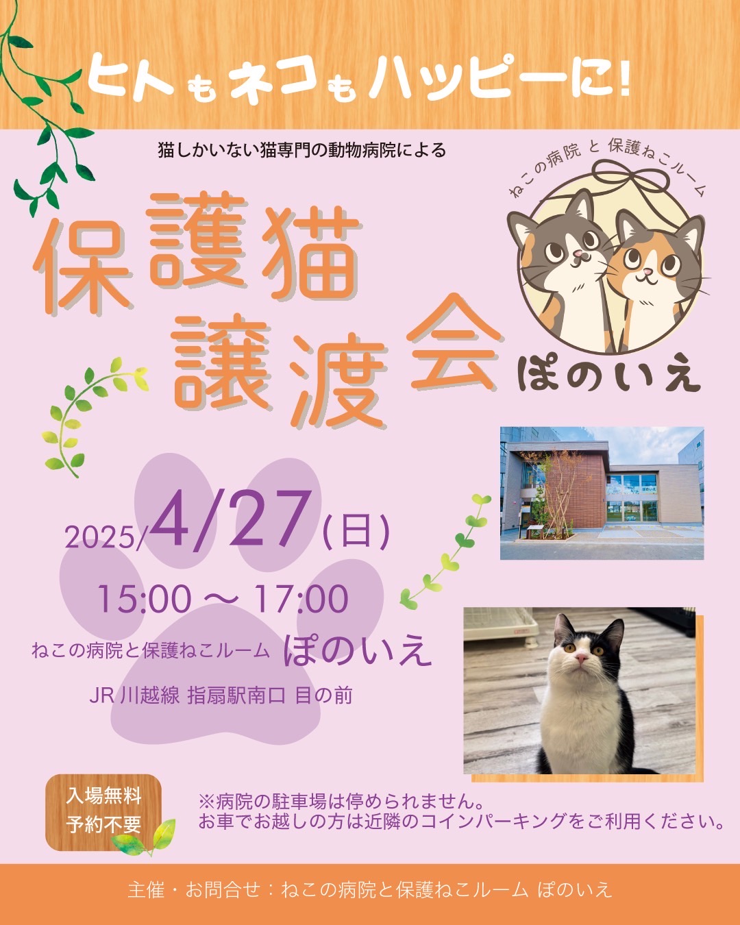 【さいたま市西区】4/27（日)猫専門病院「ぽのいえ」保護猫譲渡会