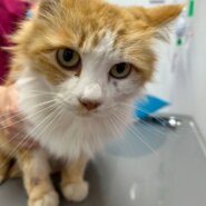 ちょっと怖がりさんな男の子ハル君！