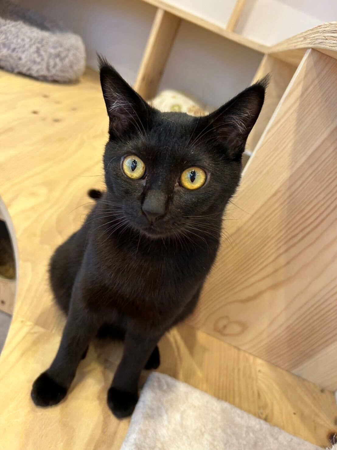 人が大好きなお喋りさん！