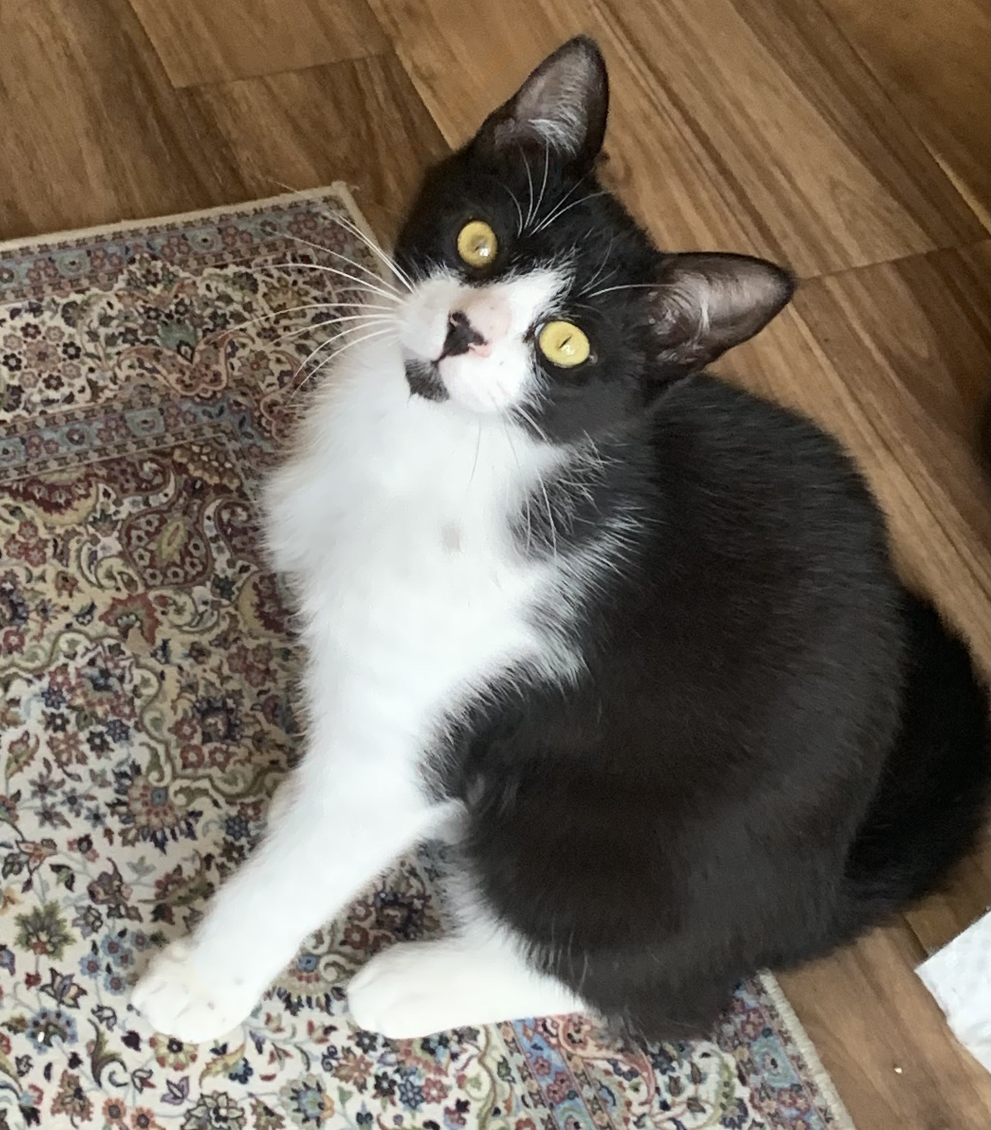 生後7ヶ月の男の子(兄妹の片方)