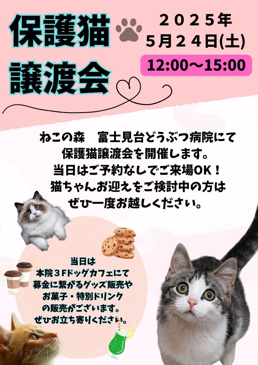ねこの森保護猫譲渡会