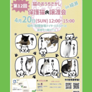保護猫譲渡会in綾瀬