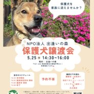 岐阜県関市の保護犬譲渡会🐾
