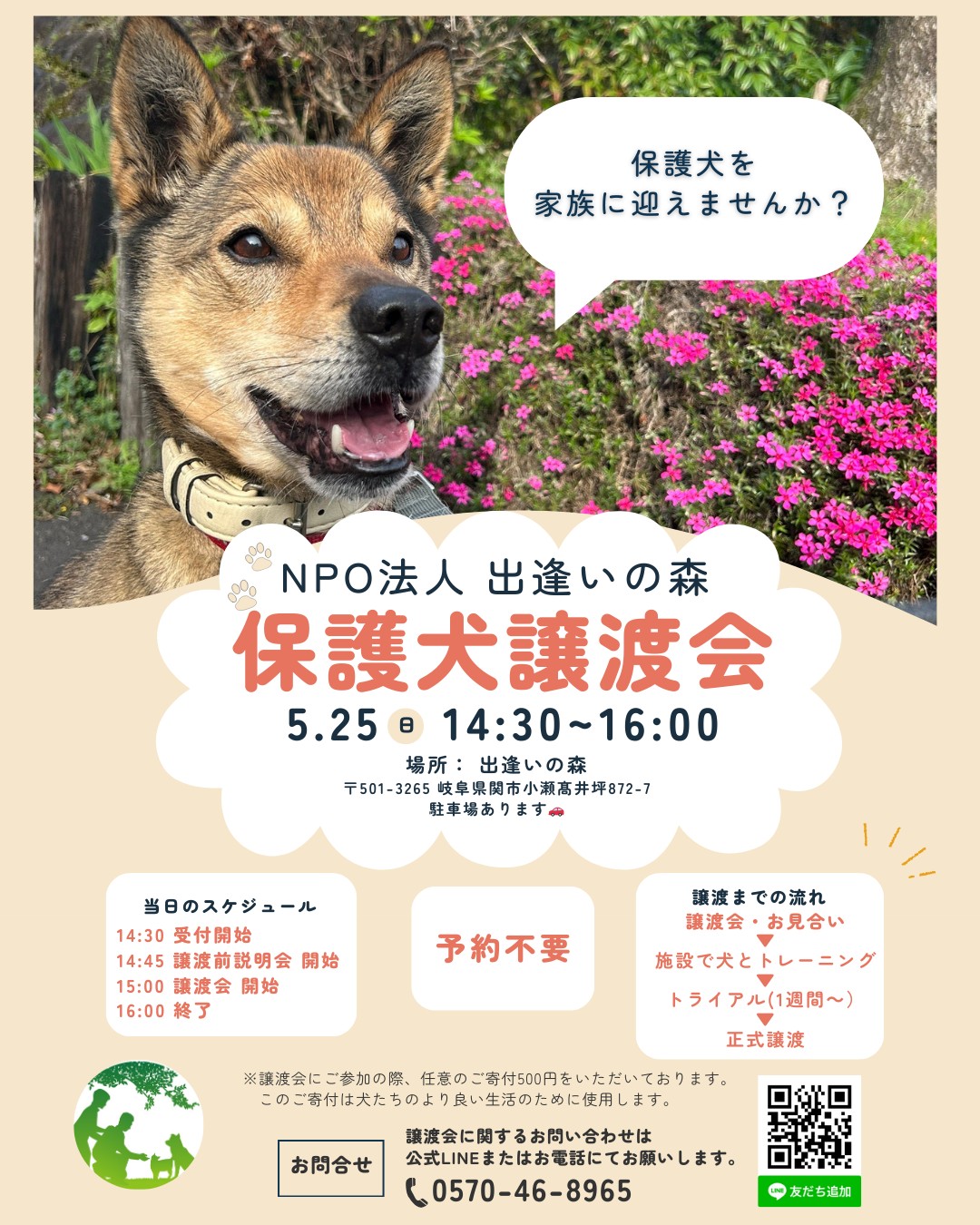 岐阜県関市の保護犬譲渡会🐾